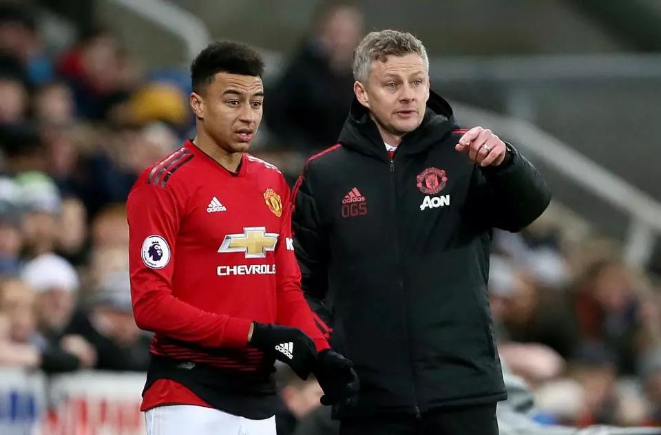 他们的不仅 他们的不仅